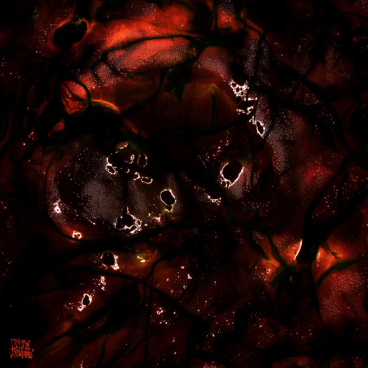 Dayzero — Step Inna